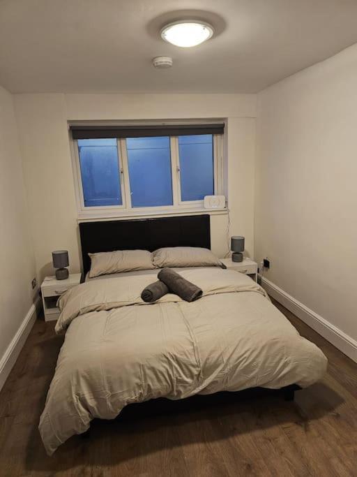 Beautiful Garden Flat Near Central Londra Exterior foto