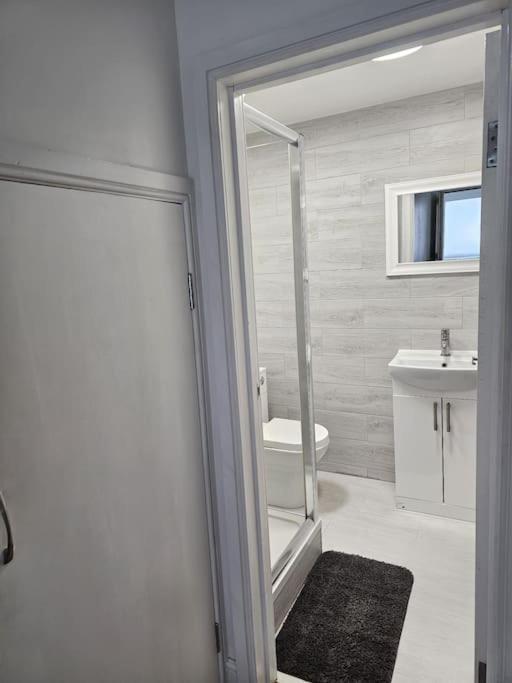 Beautiful Garden Flat Near Central Londra Exterior foto