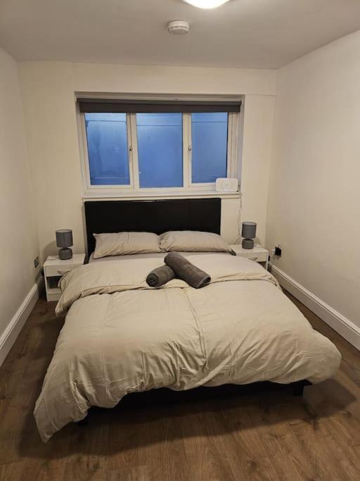 Beautiful Garden Flat Near Central Londra Exterior foto